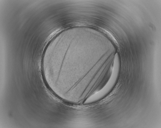 X0000115330946200912141216