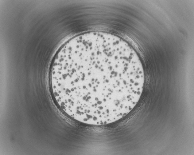 X0000115330947200912141216