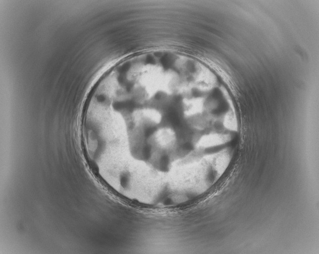 X0000115330949200912141216