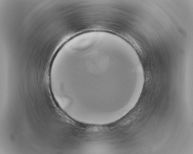 X0000115330950200912141216