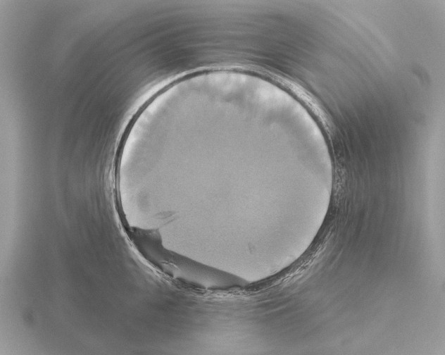 X0000115330951200912141216