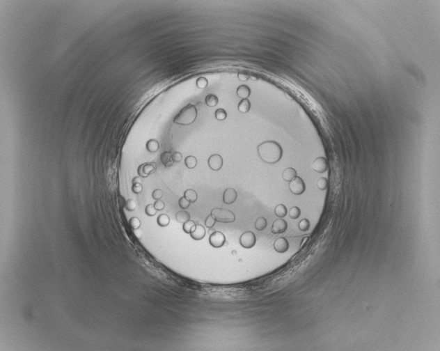 X0000115330953200912141216