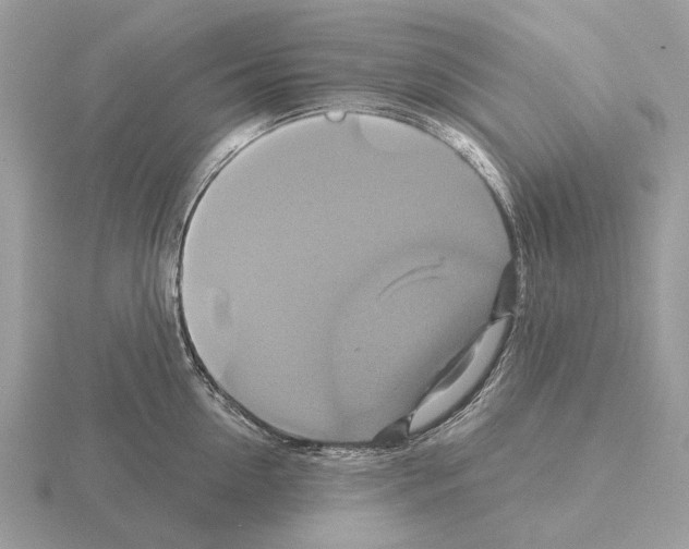 X0000115330954200912141216