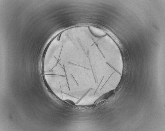 X0000115330955200912141216