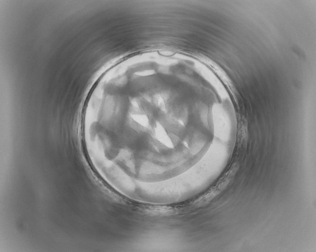 X0000115330957200912141216