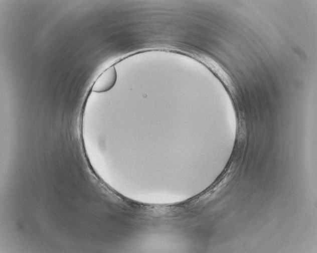 X0000115330958200912141216