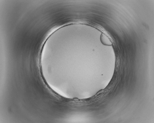 X0000115330959200912141216