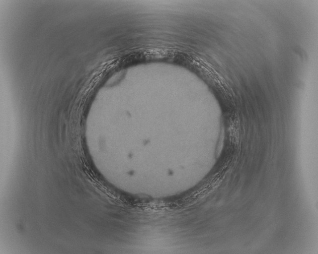 X0000115330961200912141216