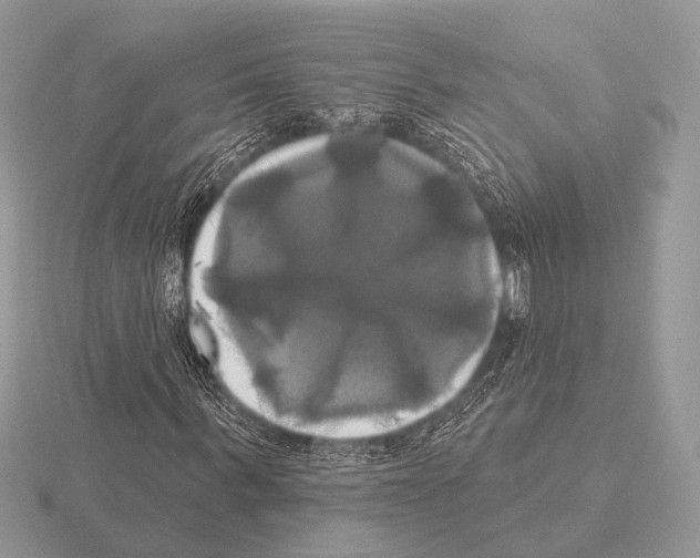 X0000115330963200912141216