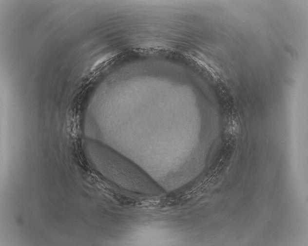 X0000115330965200912141216