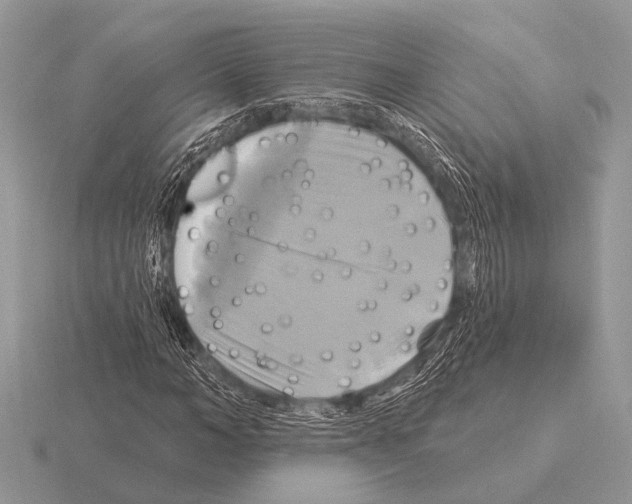 X0000115330966200912141216