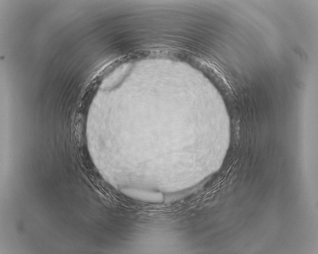 X0000115330968200912141216