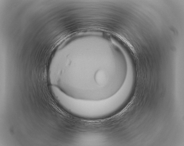 X0000115330969200912141216