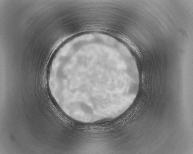 X0000115330972200912141216