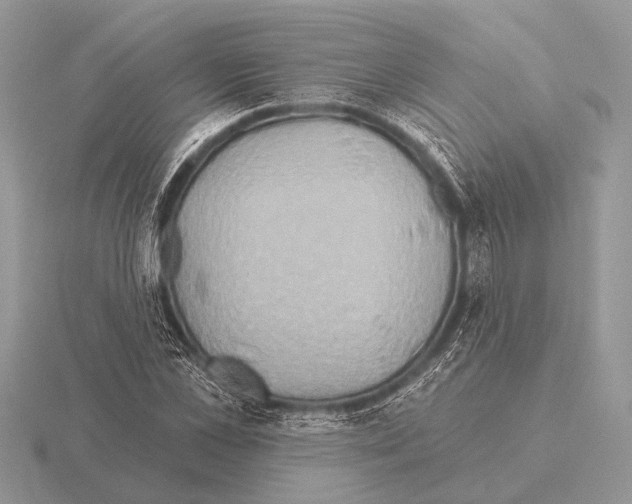 X0000115330973200912141216