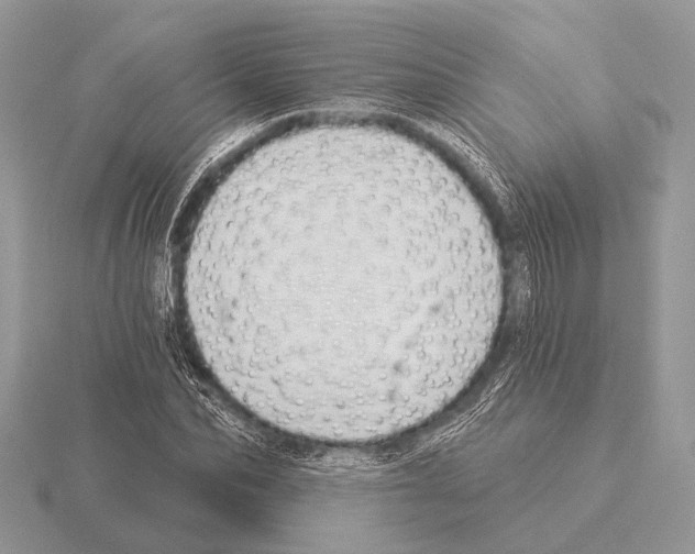 X0000115330974200912141216