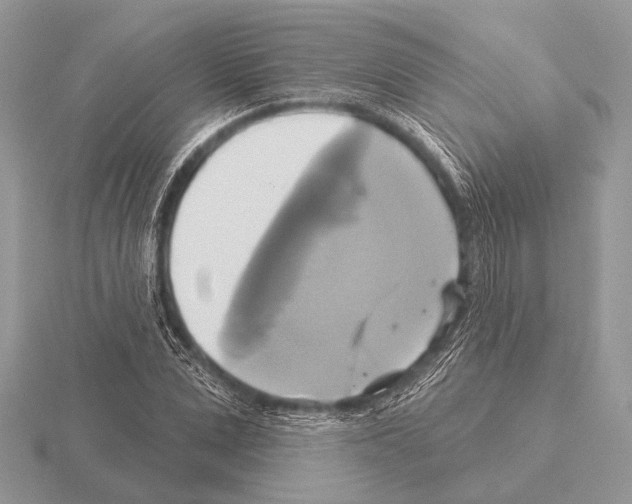 X0000115330975200912141216