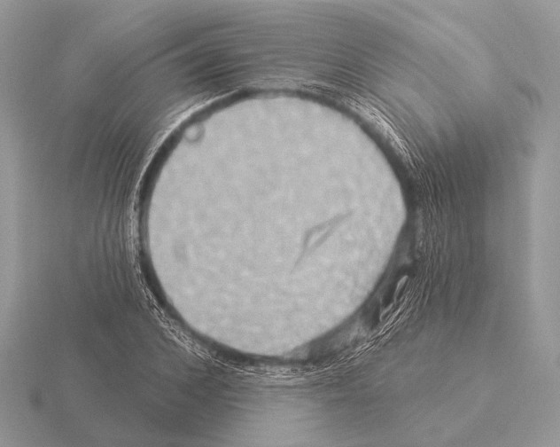 X0000115330976200912141215