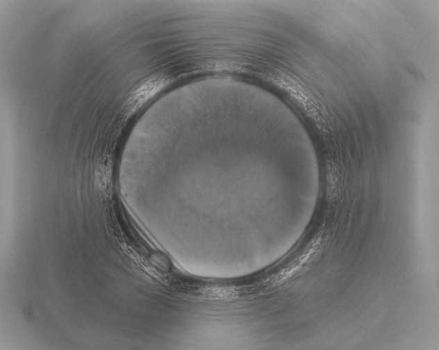 X0000115330977200912141215