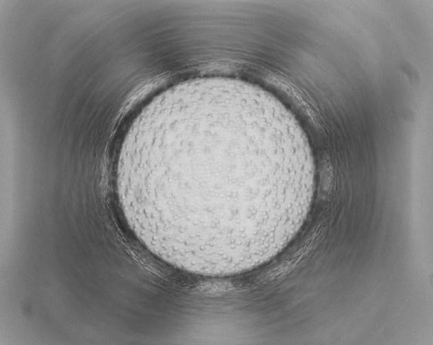 X0000115330978200912141215