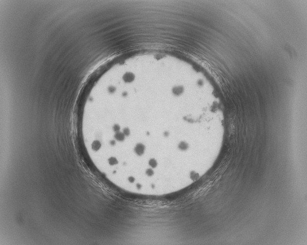 X0000115330979200912141215