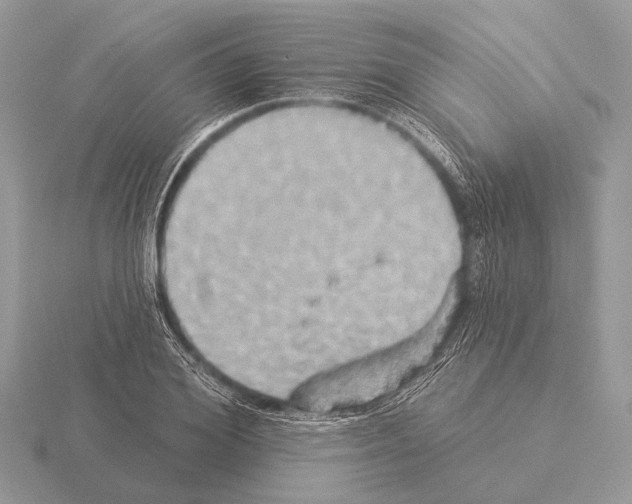 X0000115330980200912141215