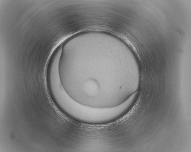 X0000115330981200912141215