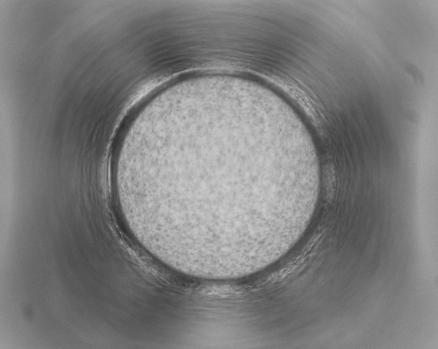 X0000115330982200912141215