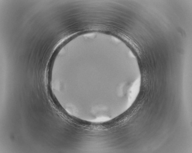 X0000115330983200912141215