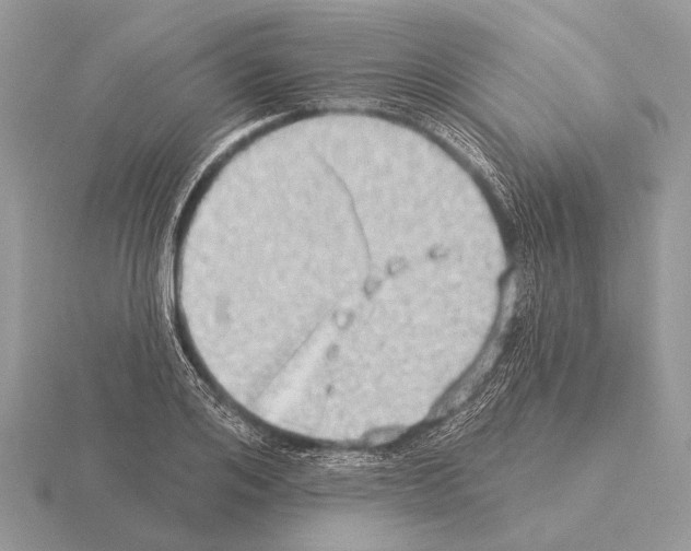 X0000115330984200912141215