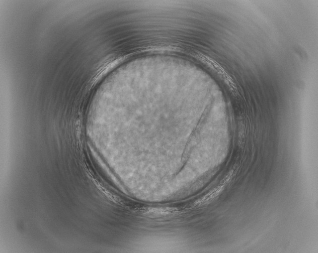 X0000115330985200912141215