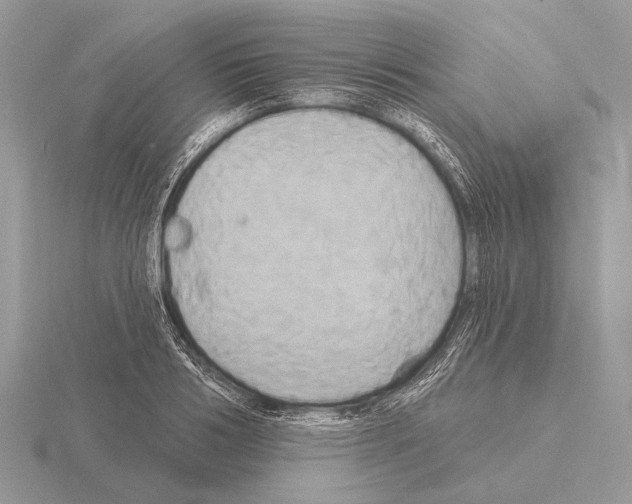 X0000115330986200912141215