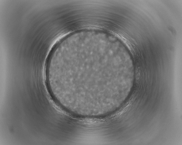 X0000115330987200912141215