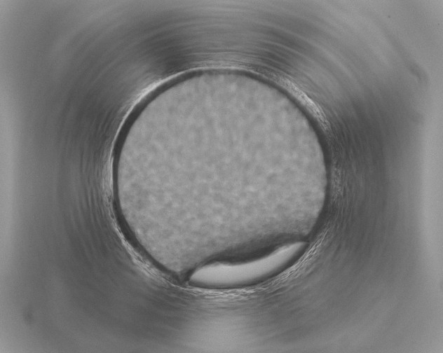 X0000115330988200912141215