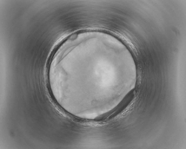 X0000115330990200912141215