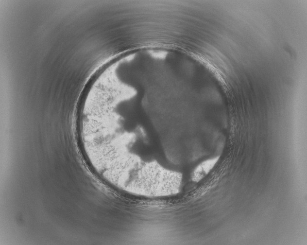 X0000115330991200912141215