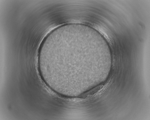 X0000115330992200912141215