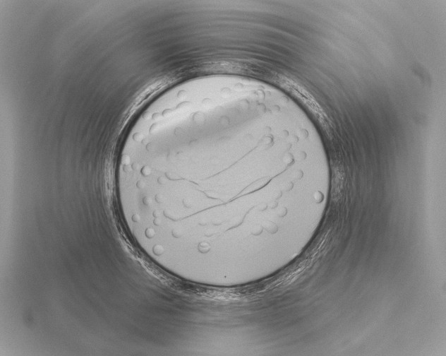 X0000115330994200912141215