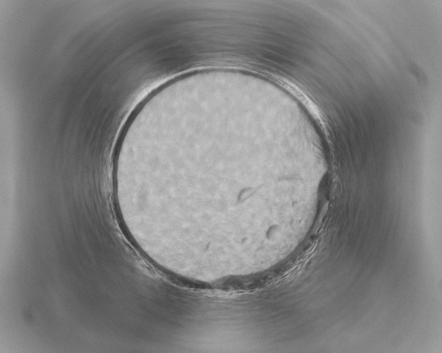 X0000115330996200912141215