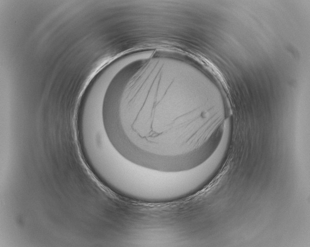 X0000115330997200912141215