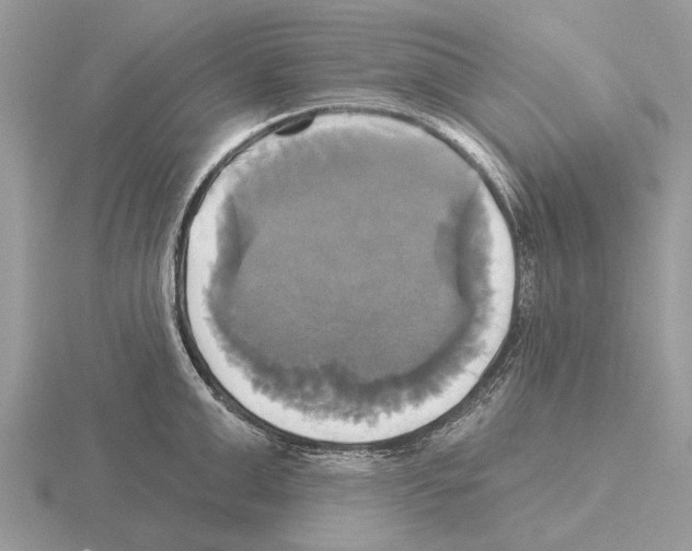 X0000115330999200912141215