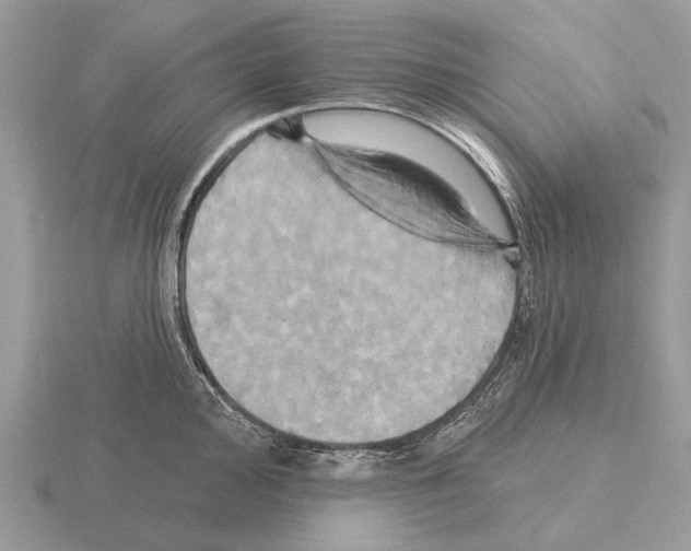 X0000115331000200912141215