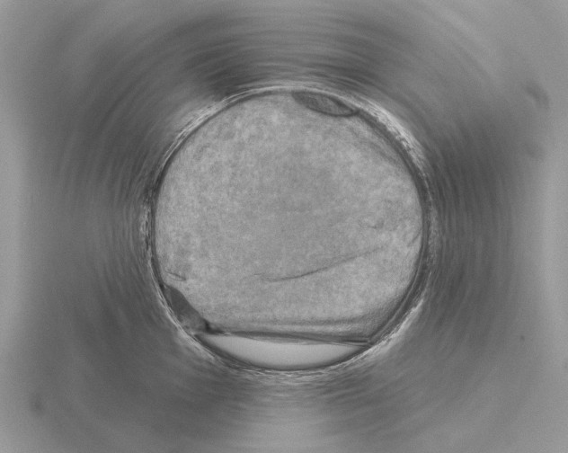 X0000115331001200912141215