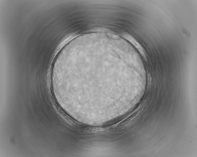 X0000115331002200912141215