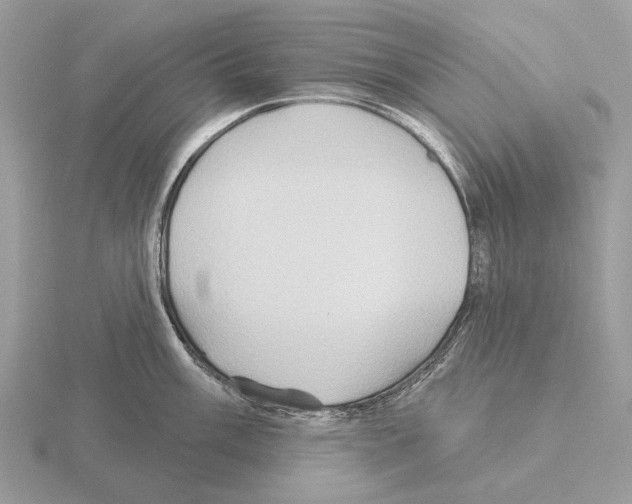 X0000115331003200912141215