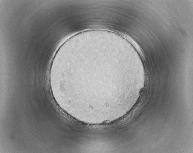 X0000115331004200912141215