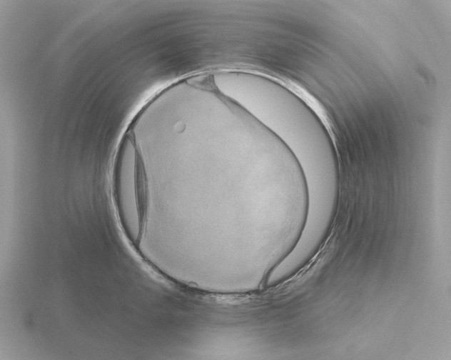 X0000115331005200912141215