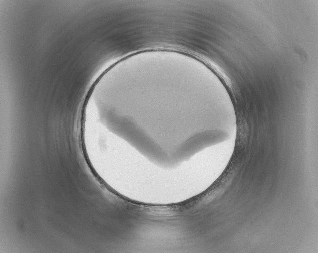 X0000115331007200912141215