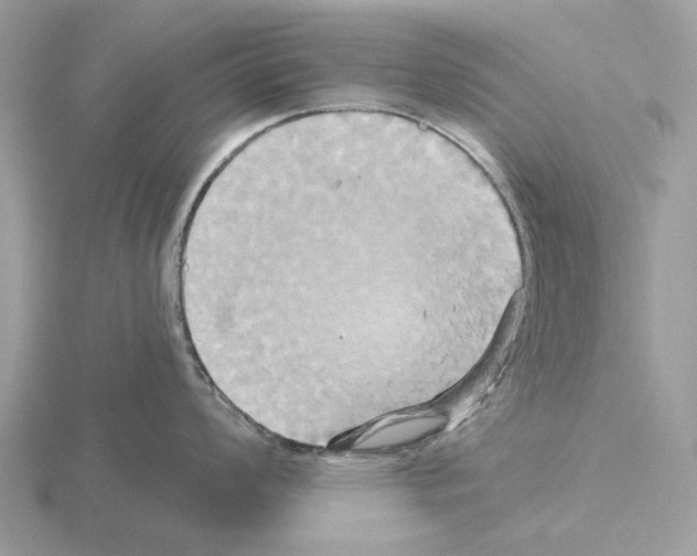 X0000115331008200912141215