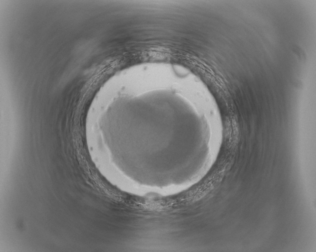 X0000115331009200912141214